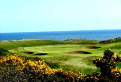 Royal-Aberdeen_2